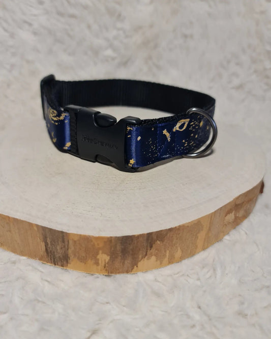 Collier (Astro bleu)